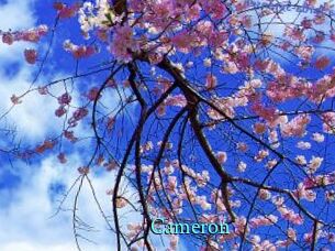 Cameron