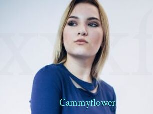Cammyflower