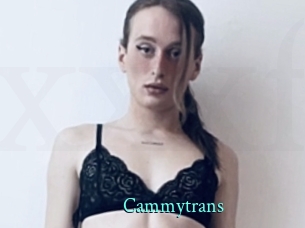 Cammytrans