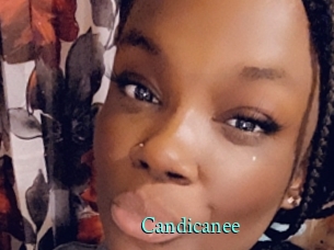 Candicanee