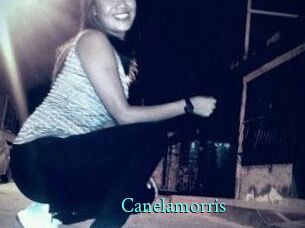 Canelamorris