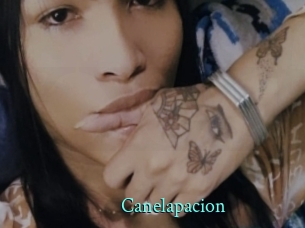 Canelapacion