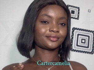 cartercamelia xxx Fantasy Land