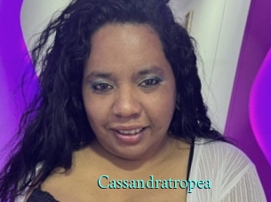 Cassandratropea