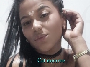 Cat_monroe