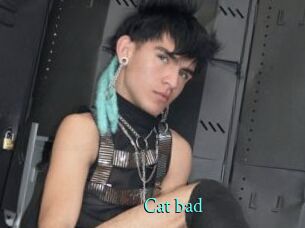 Cat_bad