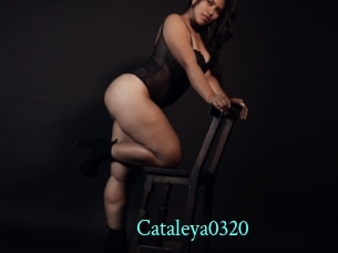 cataleya0320 xxx Fantasy Land
