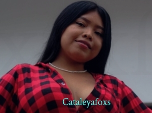 Cataleyafoxs