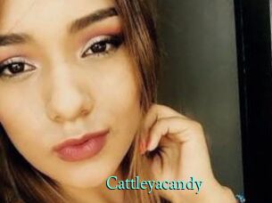 cattleyacandy xxx Fantasy Land