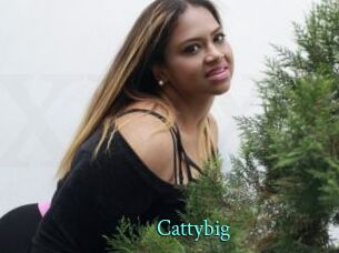 Cattybig