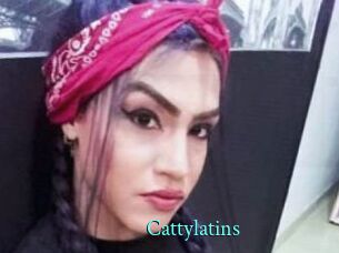 cattylatins xxx Fantasy Land