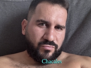 Chacales