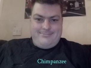 Chimpanzee