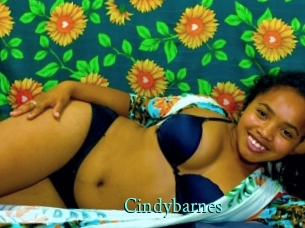 Cindybarnes