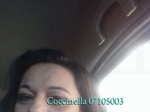 Coccinella-07105003