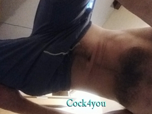 cock4you xxx Fantasy Land