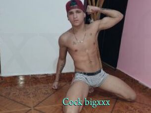 Cock_bigxxx