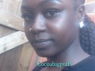 Cocoabigpuffs