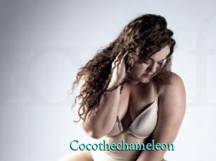Cocothechameleon