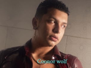 coonor_wolf xxx Fantasy Land