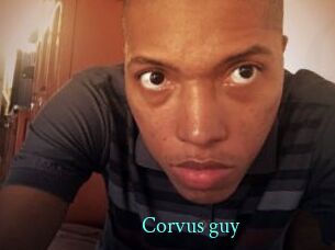 Corvus_guy
