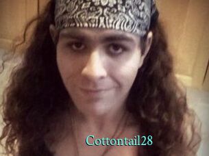 Cottontail28
