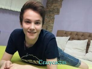 Crazycactus