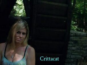 Crittacat