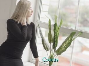 Crocus