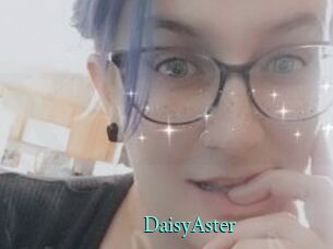 DaisyAster