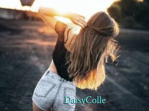 DaisyColle