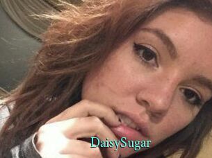Daisy_Sugar