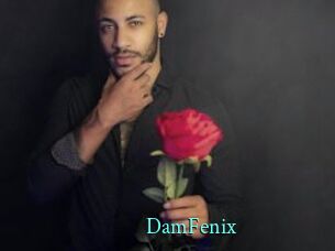 DamFenix