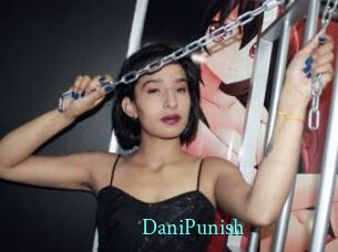 DaniPunish