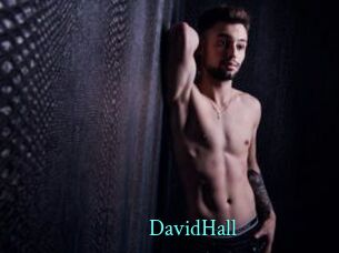 DavidHall