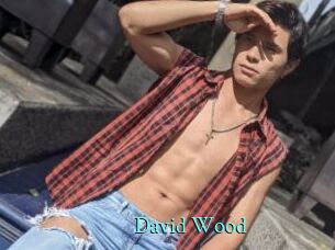 David_Wood