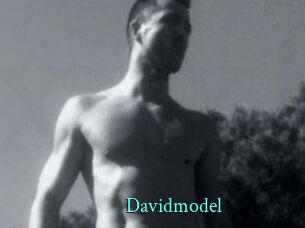 Davidmodel