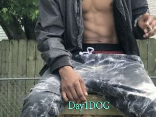Day1DOG
