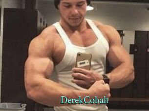 DerekCobalt xxx Fantasy Land