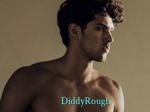 DiddyRough