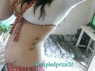 Dimpledprize20