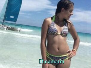 Dinamarin