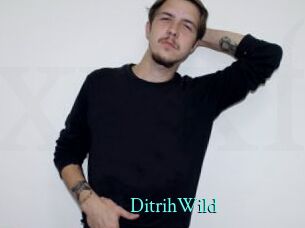 DitrihWild