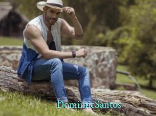 DomiinicSantos