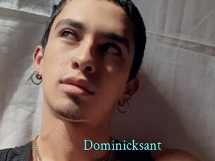 Dominicksant