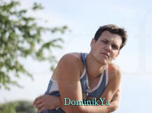 DominikYa