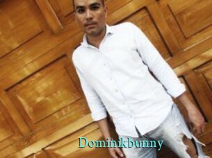 Dominikbunny