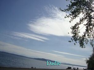dadie xxx Fantasy Land