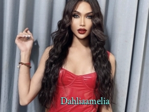 Dahliaamelia