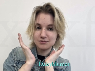 Daisyblumer